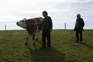 ‘Animal’: el pueblo gallego que da vida a la nueva serie de Luis Zahera en Netflix